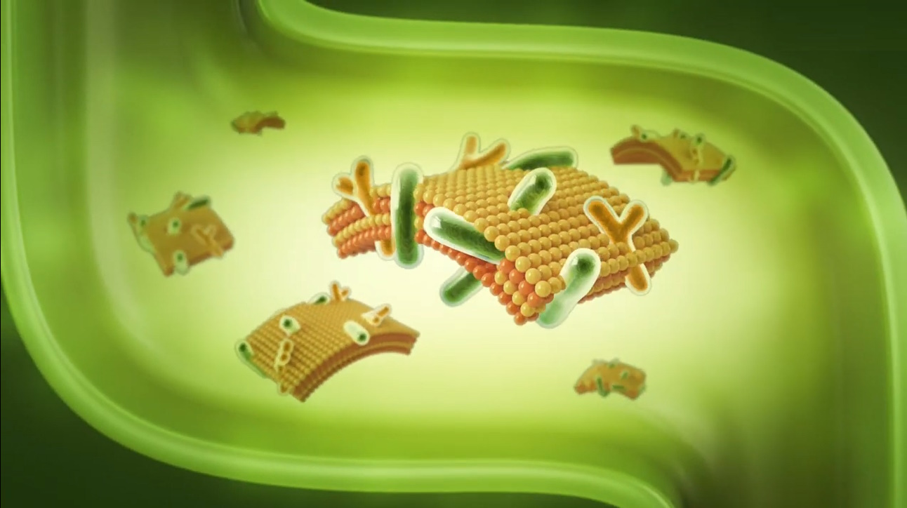 Men vi sinh bao kep the he 4 - kidlac