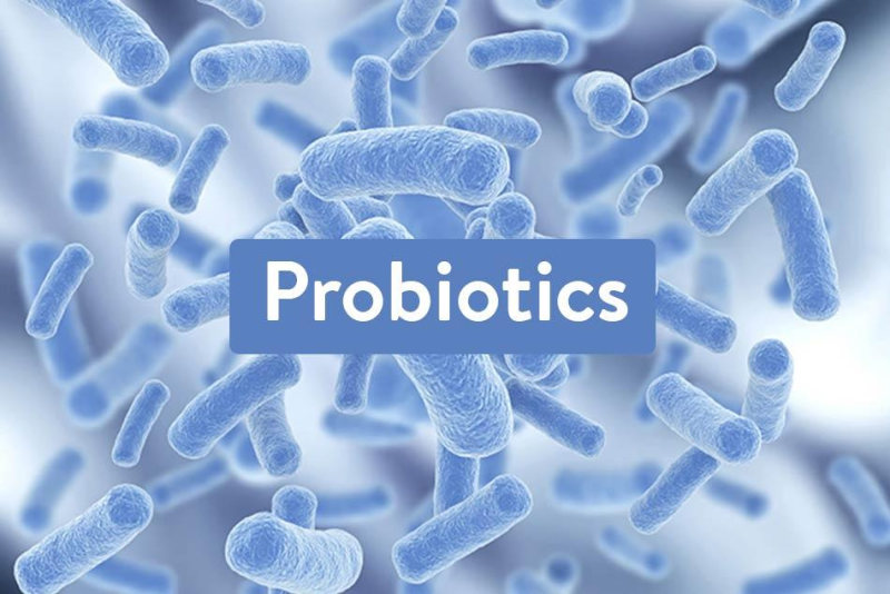 Lợi ích của probiotic