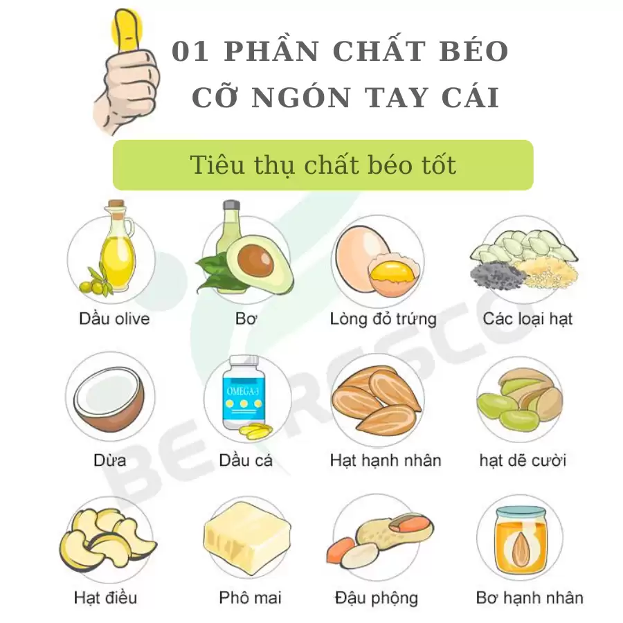 Quy-tac-ban-tay-cach-don-gian-de-xac-dinh-luong-thuc-an-hang-ngay-trong-giam-can-8602-15