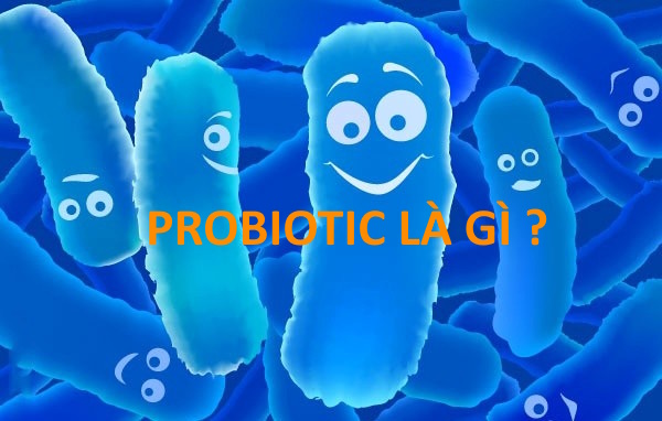 Probiotic Là Gì