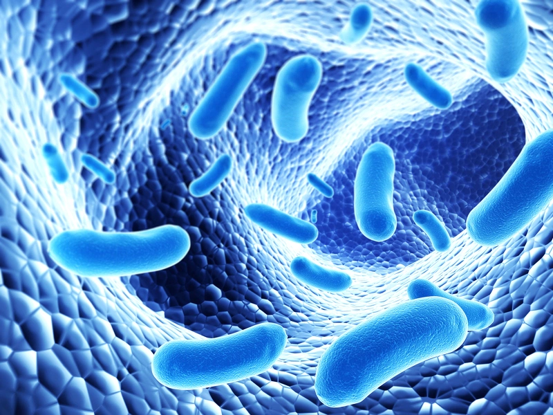 Probiotic có thể hỗ trợ quá trình tiêu hóa, giảm viêm, cải thiện các nguy cơ gây bệnh tim mạch